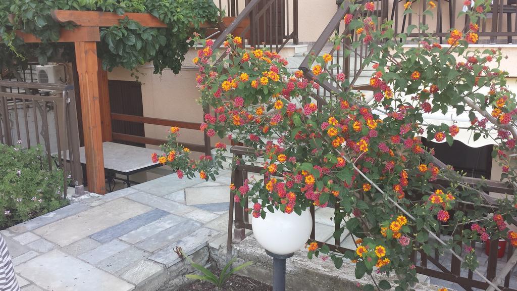 Stavros House Apartment Sarti Cameră foto